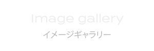 イメージギャラリー